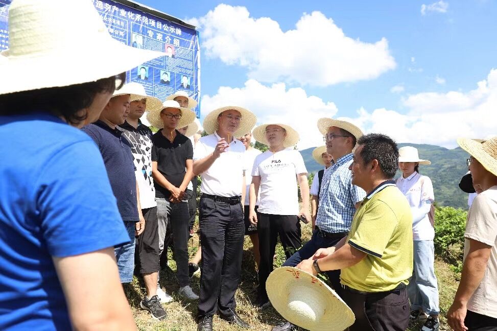 3044am永利集团官网